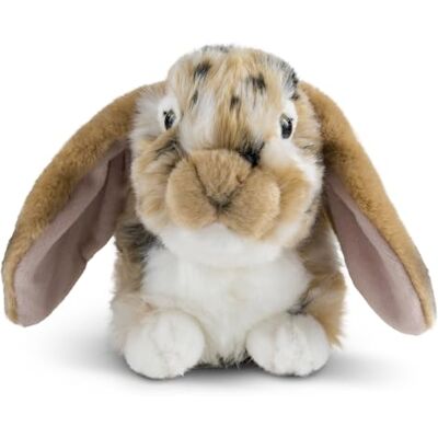 Living Nature Brown Dutch Lop Eared Rabbit Stuffed Animal Plush Toy Fluffy Rabbit Animal Soft Toy Gift for Kids Boys and Girls Stuffed Doll Naturli Eco-Friendly Plushies 26 cm Living Nature Brown Dutch Lop Eared Rabbit Stuffed Animal Plush Toy Fluffy Rabbit Animal Soft Toy Gift for Kids Boys and Girls Stuffed Doll Naturli Eco-Friendly Plushies 26 cm