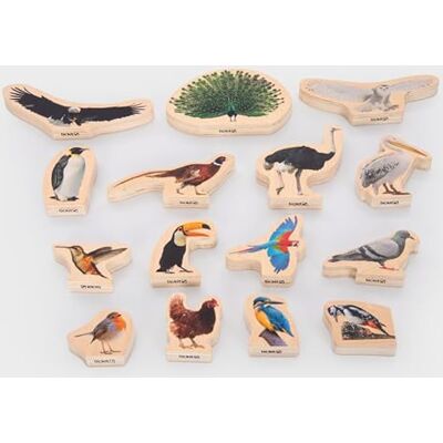 tickit Birch Plywood Bird Picture Blocks – Set of 15 Double-Sided Colour-Printed Blocks Featuring Real Bird Images for Imaginative Play and Language Development tickit Birch Plywood Bird Picture Blocks – Set of 15 Double-Sided Colour-Printed Blocks Featuring Real Bird Images for Imaginative Play and Language Development