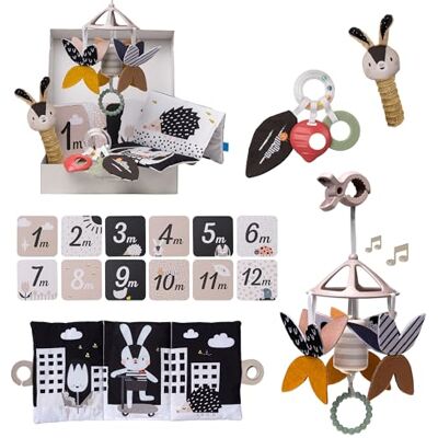 Taf Toys Black & White Newborn Gift Set. 10 High-Contrast Baby Toys for Newborns Includes Mobile, Sensory Book Rattle & More. Essential Tummy Time Toys. Ideal for Infants Boys & Girls 0 Months + Taf Toys Black & White Newborn Gift Set. 10 High-Contrast Baby Toys for Newborns Includes Mobile, Sensory Book Rattle & More. Essential Tummy Time Toys. Ideal for Infants Boys & Girls 0 Months +