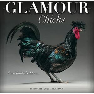 SELLERS PUBLISHING, INC. Glamour Chicks 2024 SELLERS PUBLISHING, INC. Glamour Chicks 2024