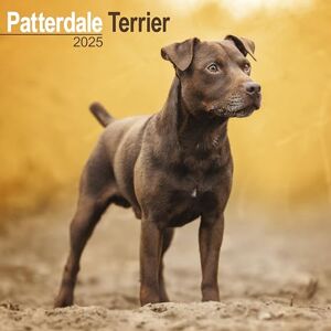 AVONSIDE Patterdale Terrier 2025 Square Wall Calendar Dog Breed Calendar AVONSIDE Patterdale Terrier 2025 Square Wall Calendar Dog Breed Calendar
