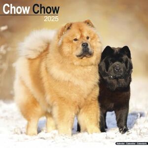 AVONSIDE Chow Chow 2025 Square Wall Calendar Dog Breed Calendar AVONSIDE Chow Chow 2025 Square Wall Calendar Dog Breed Calendar