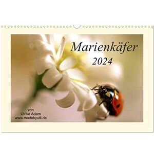 CALVENDO Marienkäfer / 2024 (Wandkalender 2024 DIN A3 quer), Monatskalender CALVENDO Marienkäfer / 2024 (Wandkalender 2024 DIN A3 quer), Monatskalender