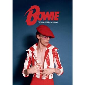 Danilo Promotions LTD 2025 Calendar David Bowie Month to View A3 Calendar Official Product Danilo Promotions LTD 2025 Calendar David Bowie Month to View A3 Calendar Official Product