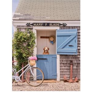Galison Gray Malin Nantucket – 1000 Piece Book Puzzle with Dreamy Nantucket Photography Packaged in Magnetic Keepsake Book Sized Box Galison Gray Malin Nantucket – 1000 Piece Book Puzzle with Dreamy Nantucket Photography Packaged in Magnetic Keepsake Book Sized Box