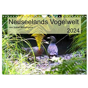 CALVENDO Neuseelands Vogelwelt (Wandkalender 2024 DIN A4 quer), Monatskalender CALVENDO Neuseelands Vogelwelt (Wandkalender 2024 DIN A4 quer), Monatskalender