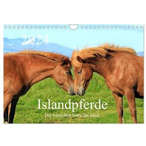 CALVENDO Islandpferde Die tierischen Stars der Insel (Wandkalender 2024 DIN A4 quer), Monatskalender CALVENDO Islandpferde Die tierischen Stars der Insel (Wandkalender 2024 DIN A4 quer), Monatskalender