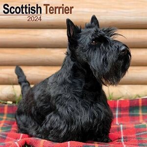 AVONSIDE Scottish Terrier Calendar 2024 Square Dog Breed Wall Calendar 16 Month AVONSIDE Scottish Terrier Calendar 2024 Square Dog Breed Wall Calendar 16 Month
