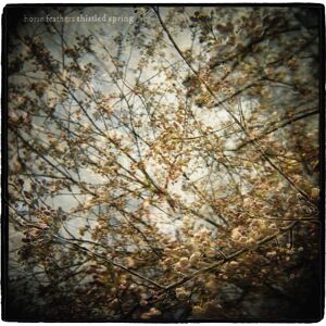Thistled Spring Lp Thistled Spring Lp