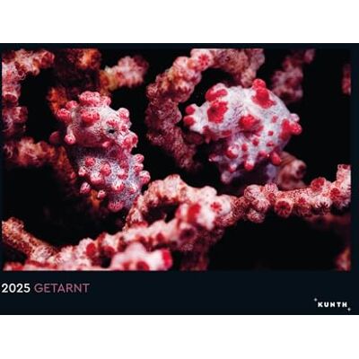 KUNTH Wall Calendar Camouflaged 2025 KUNTH Wall Calendar Camouflaged 2025