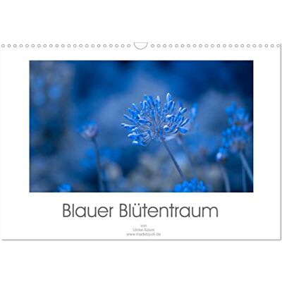CALVENDO Blauer Blütentraum (Wandkalender 2024 DIN A3 quer), Monatskalender CALVENDO Blauer Blütentraum (Wandkalender 2024 DIN A3 quer), Monatskalender