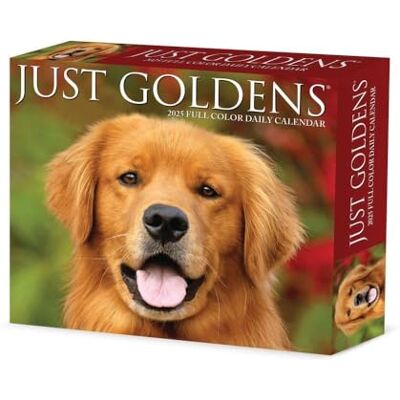 Willow Creek Goldens 2025 Box Willow Creek Goldens 2025 Box