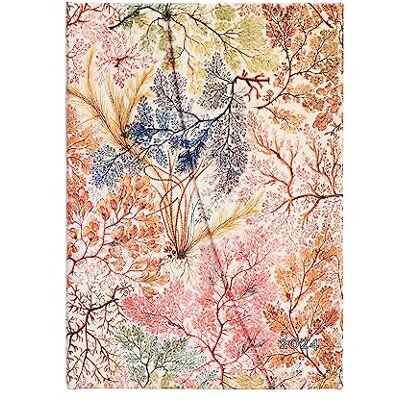Paperblanks 12-Month Calendar 2024 Anemone, Horizontal Midi (180 x 130) 160p, Spanish Paperblanks 12-Month Calendar 2024 Anemone, Horizontal Midi (180 x 130) 160p, Spanish
