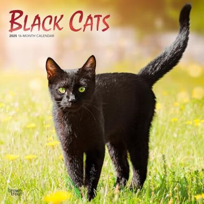 BrownTrout 2025 Black Cats 2025 Monthly Square Wall Calendar Calendar 30 x 61 cm Plastic Free Embossed Cover BrownTrout 2025 Black Cats 2025 Monthly Square Wall Calendar Calendar 30 x 61 cm Plastic Free Embossed Cover