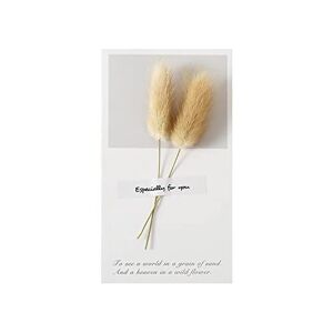 ACWERT Dried Flower Greeting Cards Mother's Day Cards Valentine's Day Cards Birthday Cards Blessing Cards Wedding Cards Moving Gifts for Couples Wives and Husbands. Initial Earrings (B-b, One Size)