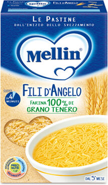 DANONE NUTRICIA SpA SOC.BEN. Mellin Past.Fili Angelo 320g