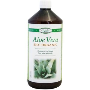 Vividus srl Aloe Vera Bio Succo/polpa 1l