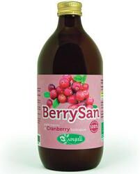 Sangalli srl Berrysan Puro Succo Cranberry