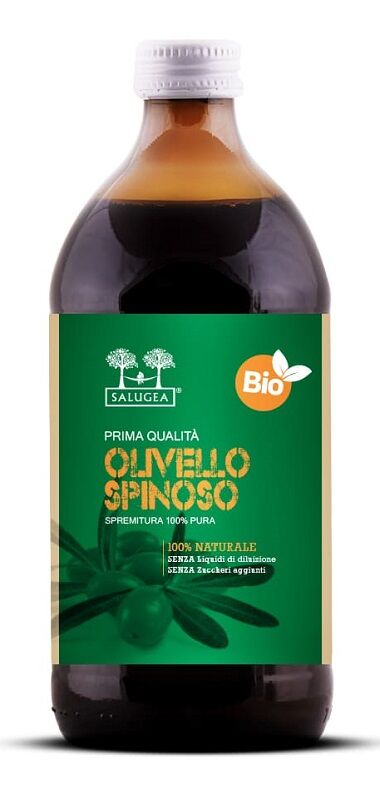 SALUGEA (RELOAD Srl) Salugea Succo Olivello Bio