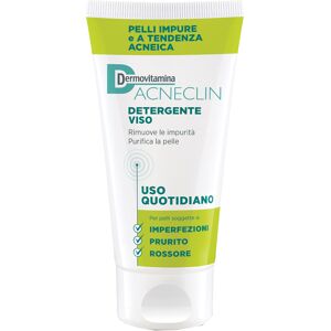 Pasquali srl Dermovitamina Acneclin Det.Vis