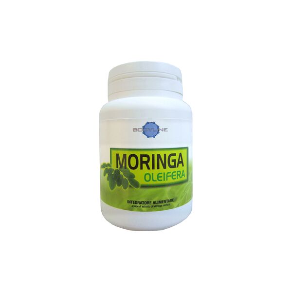 bodyline srl moringa oleifera 60 cps