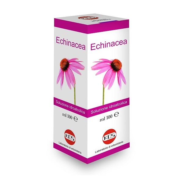 kos srl echinacea sol ial pianta fr100