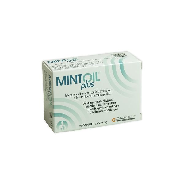 ca.di.group spa mintoil plus 60 cps