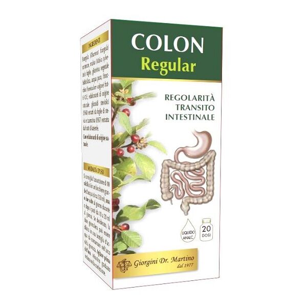 dr.giorgini ser-vis srl colon regular analc.200ml svs