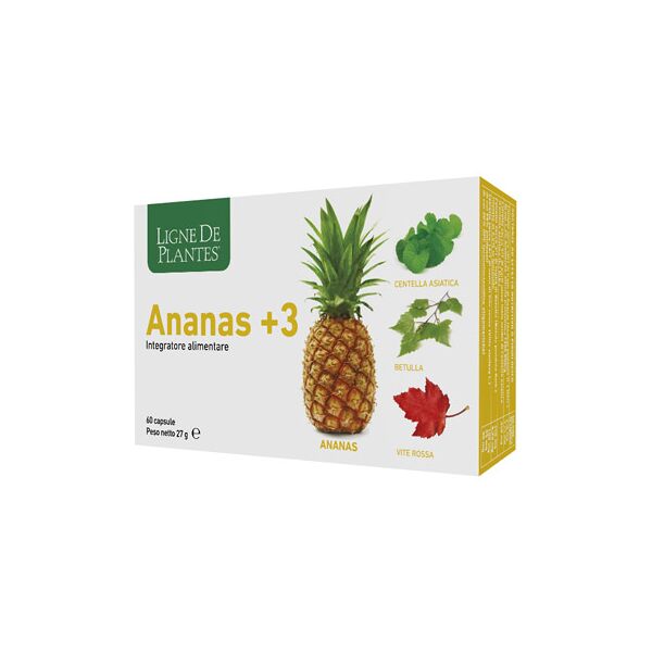 natura service srl ananas +3 60cps