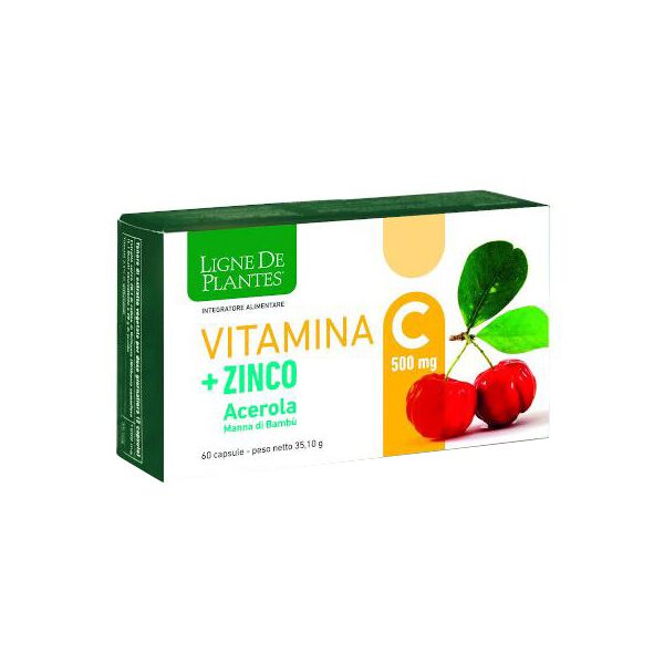 natura service srl vitamina c 500mg+zi/ac/ba60cps