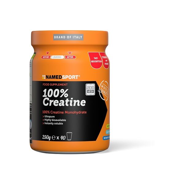 namedsport srl 100% creatine 250g