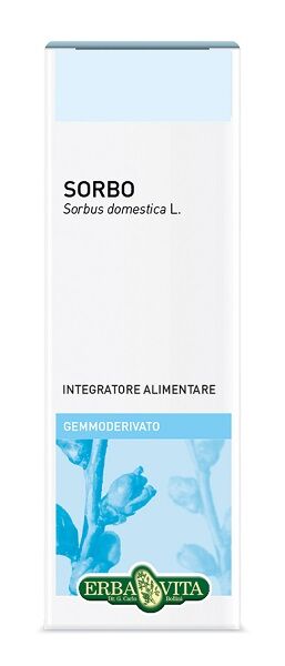 Erba Vita Gemmoderivato Sorbo 50ml