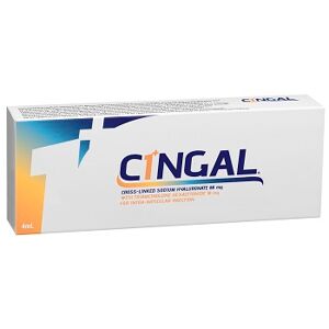 Abiogen pharma spa Cingal Sir.P-Riemp.4ml