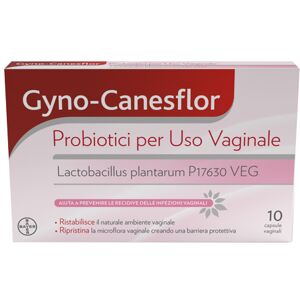 Bayer spa Gyno-Canesflor 10cps Vaginali