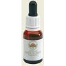 BUSH BIOTHERAPIES Pty Ltd Old Man Banksia Austral.15ml