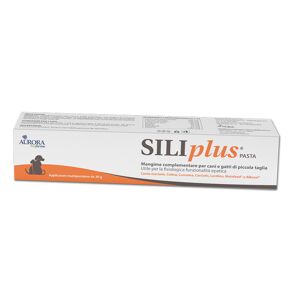 Aurora biofarma srl Siliplus Pasta 30g