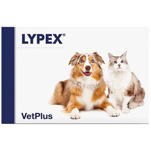 VETPLUS LTD Lypex 60cps