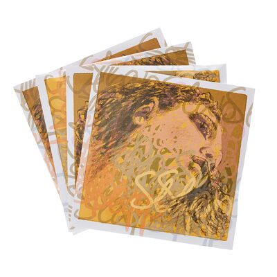 Pirastro Evah Pirazzi Slap Strings Syn. Pirastro Evah Pirazzi Slap Strings Syn.