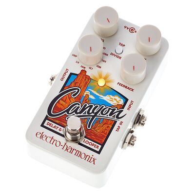 Electro Harmonix Canyon Delay & Looper Electro Harmonix Canyon Delay & Looper