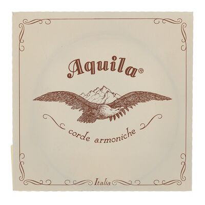 Aquila 100D Wound Nylgut Lute String Aquila 100D Wound Nylgut Lute String