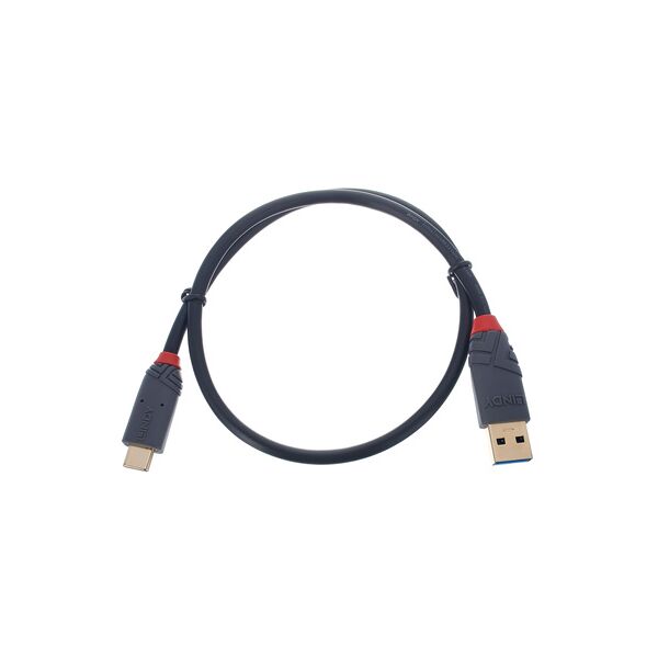 lindy usb 3.1 typ a/c 0,5m anthra