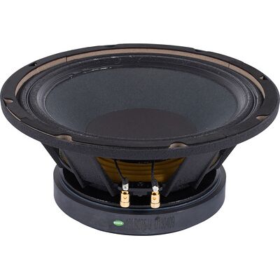 the box Speaker 10-250/8-A the box Speaker 10-250/8-A