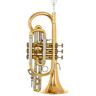 Bach 184 G Cornet