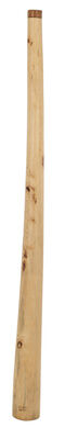 Thomann Didgeridoo Eucalyptus 110-125 Yellowbox natural