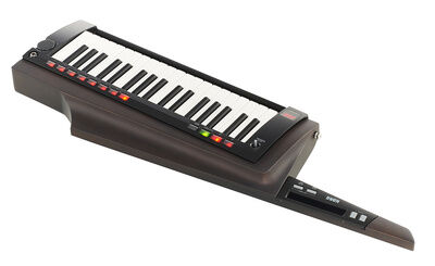 Korg RK-100S 2 Black Black