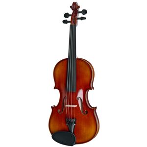 Gewa 100th Anniversary Violin 3/4 Gewa 100th Anniversary Violin 3/4