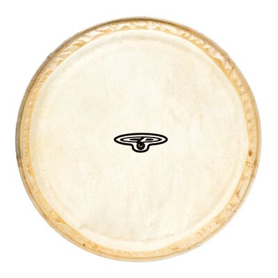 LP CP221A Bongo Head 6" LP CP221A Bongo Head 6"