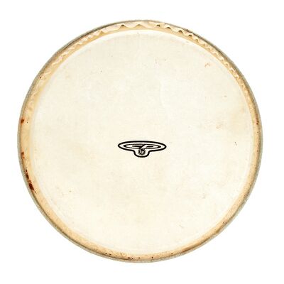 LP CP221B Bongo Head 7" LP CP221B Bongo Head 7"