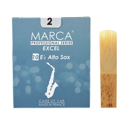 Marca Excel Alto Saxophone 2.0 Marca Excel Alto Saxophone 2.0