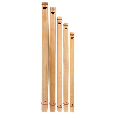Thomann Rhythm flute Set M Thomann Rhythm flute Set M